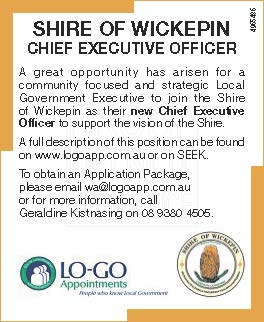 POSITION OPENING - Chief Executive Officer